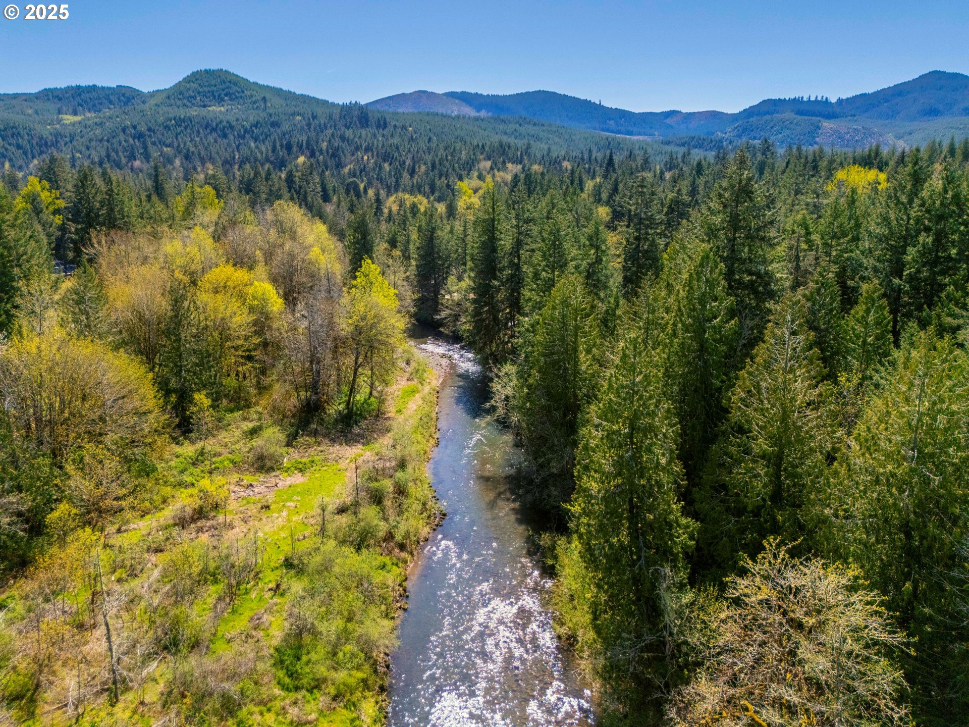 75325 Mosby Creek Road Cottage Grove, OR 97424 - Photo 40 of 48