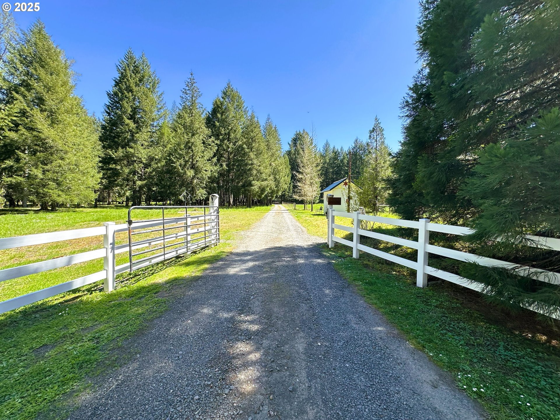 75325 Mosby Creek Road Cottage Grove, OR 97424 - Photo 4 of 48