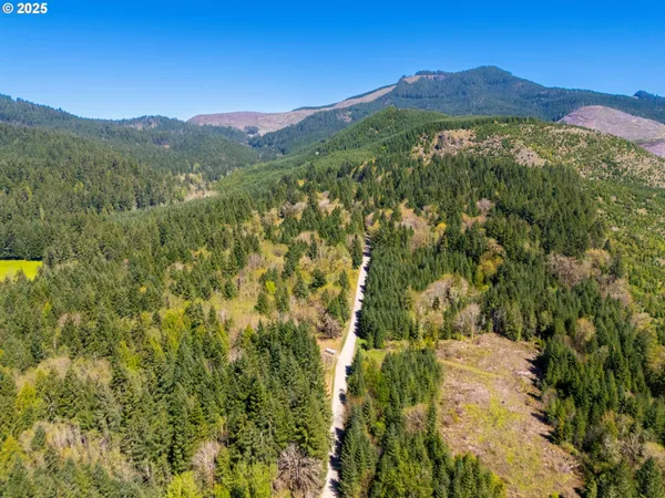 a view of a lush green hillside and a mountain