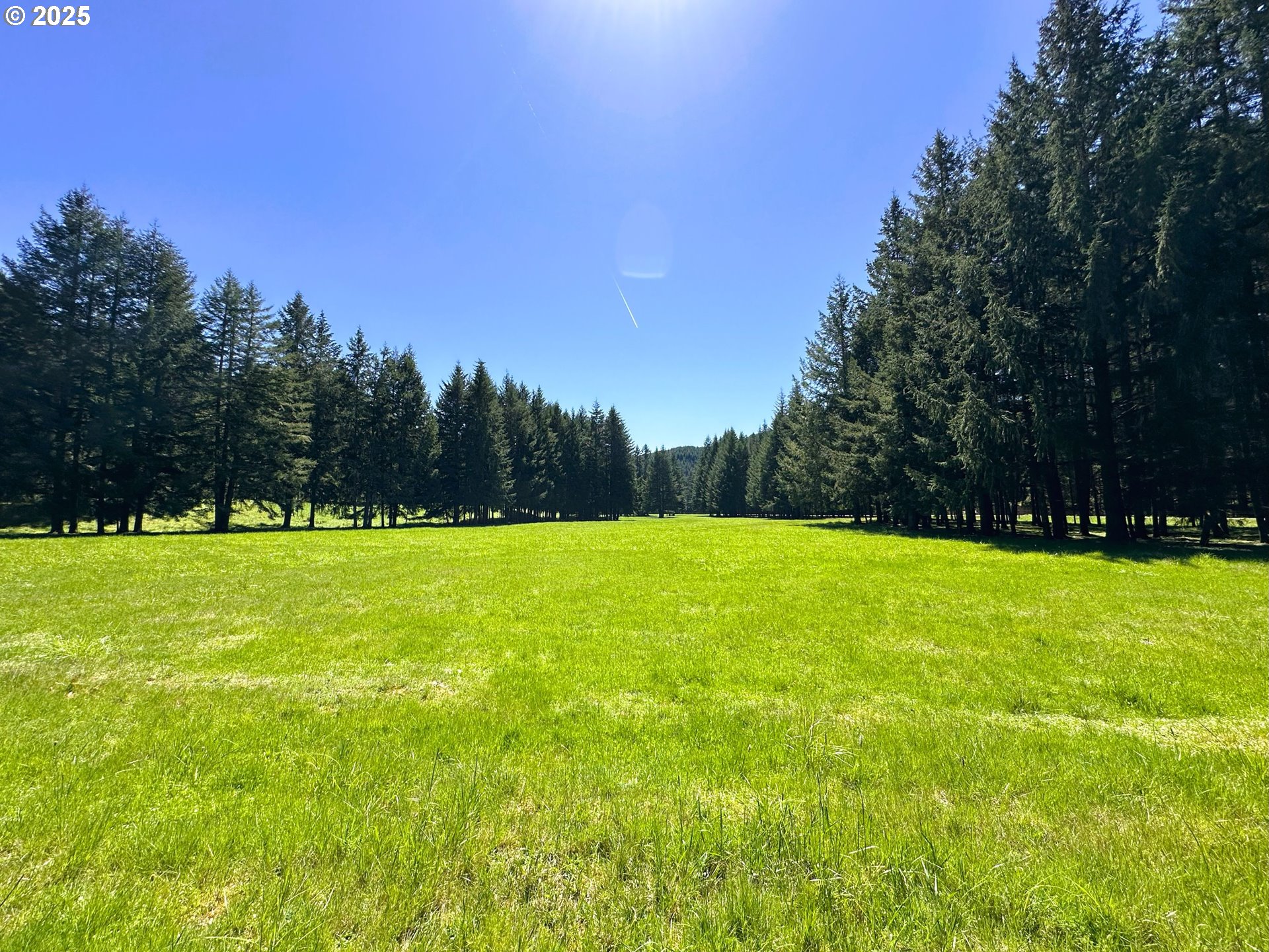 75325 Mosby Creek Road Cottage Grove, OR 97424 - Photo 5 of 48