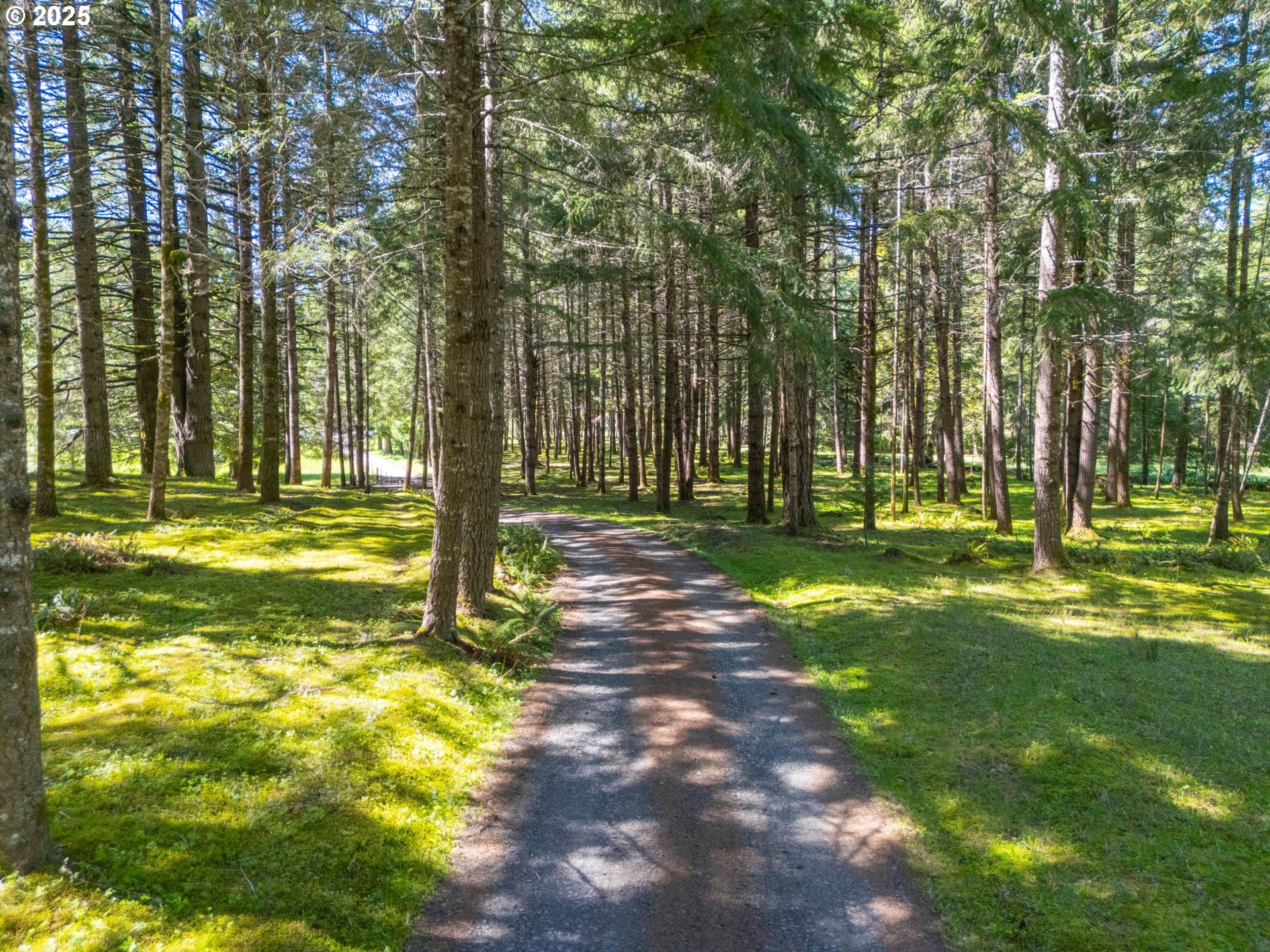 75325 Mosby Creek Road Cottage Grove, OR 97424 - Photo 7 of 48