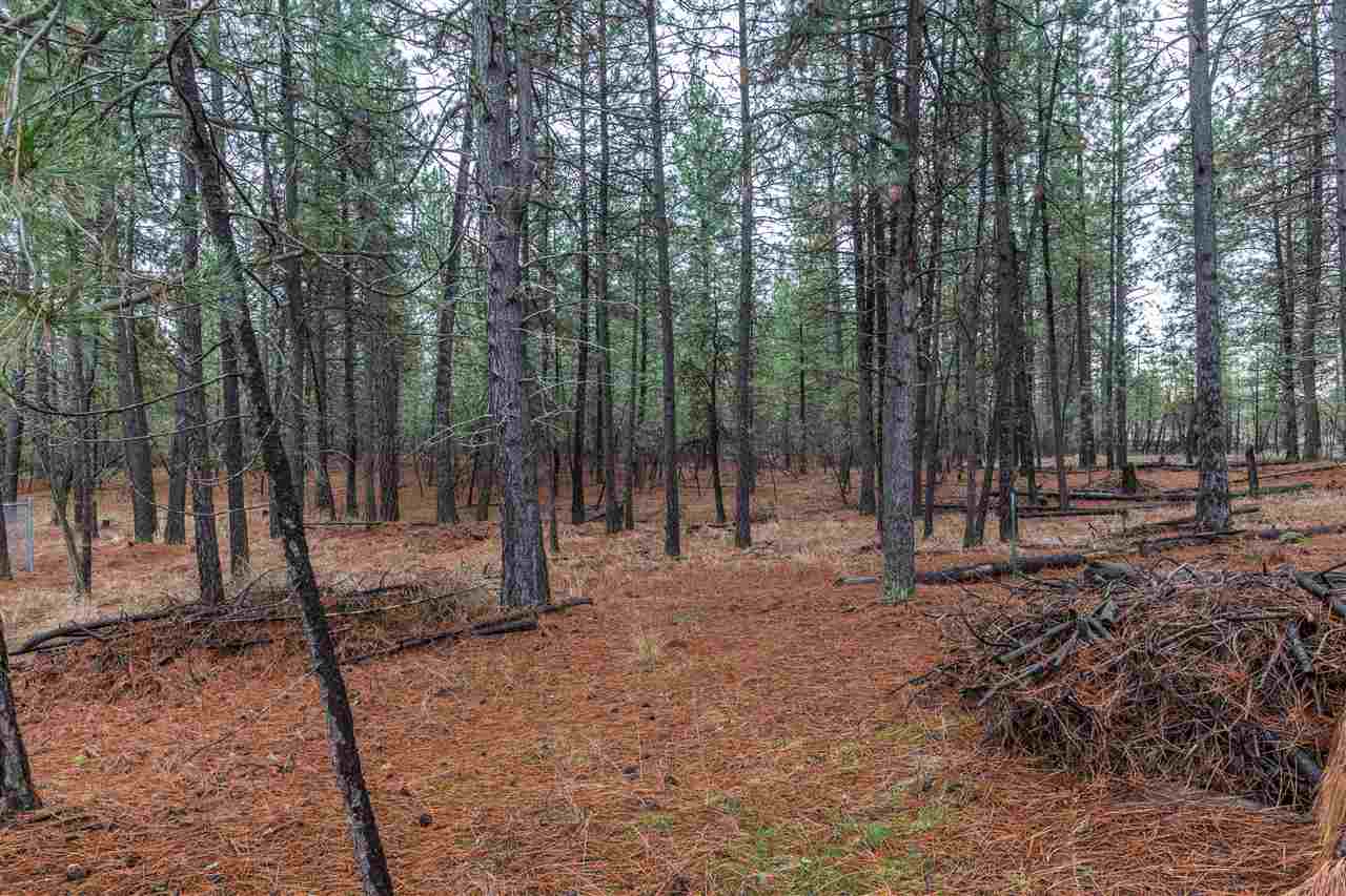 2304 East Winger Road Spokane, WA 99208 - Photo 20 of 20