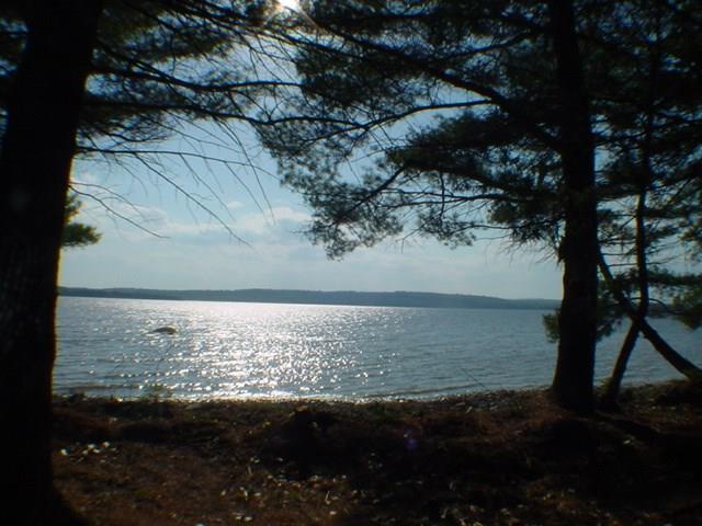 0 Route 179 & Peaceful Point Road Ellsworth, ME 04605 - Photo 14 of 35 Additional Photo