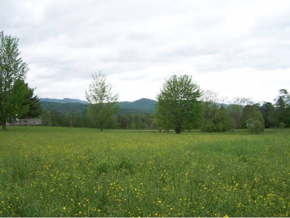 Farm Road Waitsfield, VT 05673 - Photo 1 of 1