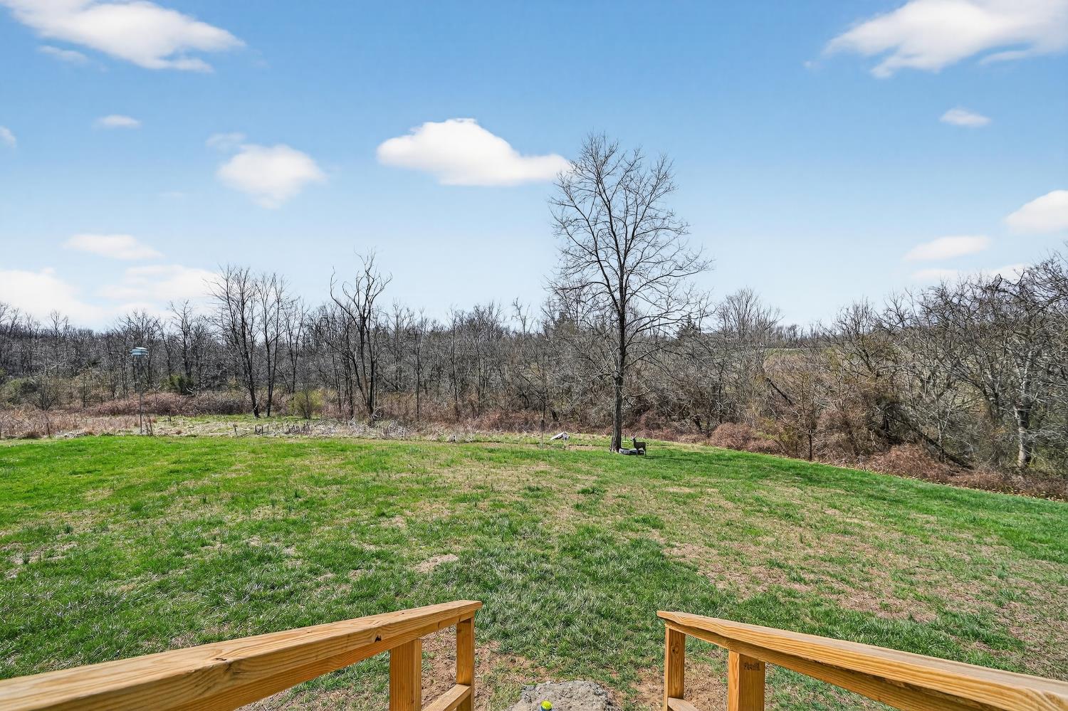 14091 Stamper Road Moores Hill, IN 47032 - Photo 34 of 49