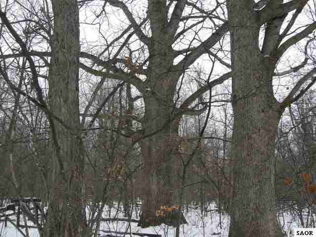 12671 Fowler Road Brant, MI 48614 - Photo 1 of 8 47957.JPG