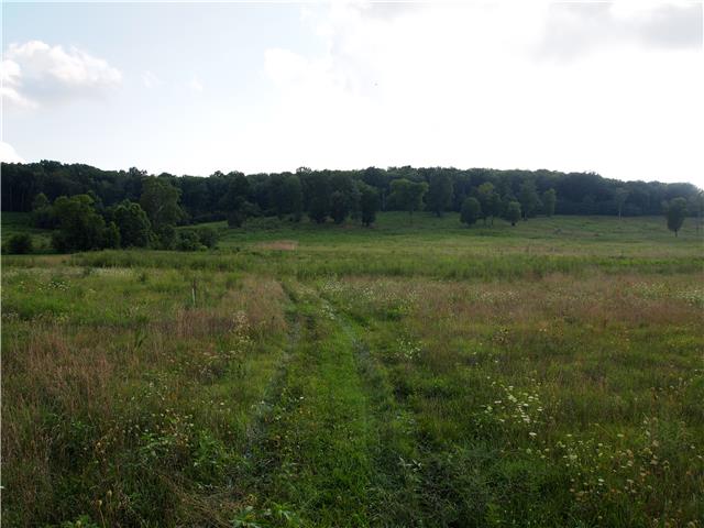 10 Old Shannon Road Lebanon, TN 37090 - Photo 2 of 8