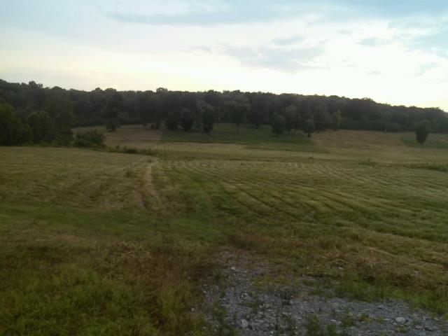 10 Old Shannon Road Lebanon, TN 37090 - Photo 3 of 8