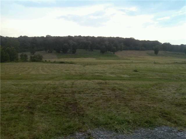 10 Old Shannon Road Lebanon, TN 37090 - Photo 4 of 8