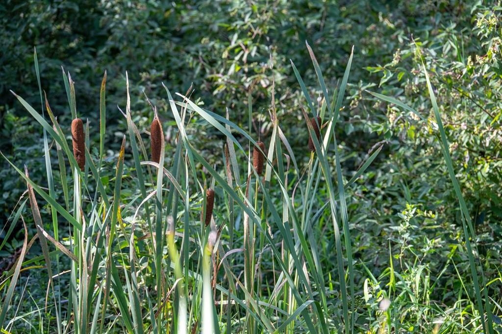 County Road Sister Bay, WI 54234 - Photo 11 of 32