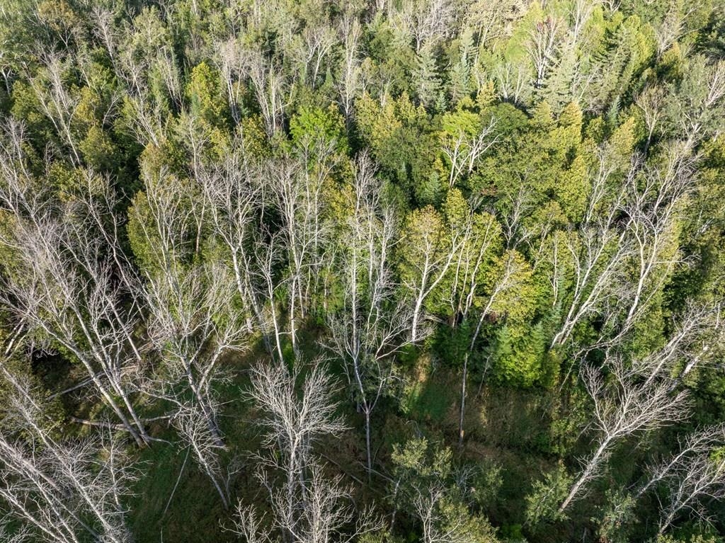 County Road Sister Bay, WI 54234 - Photo 6 of 32