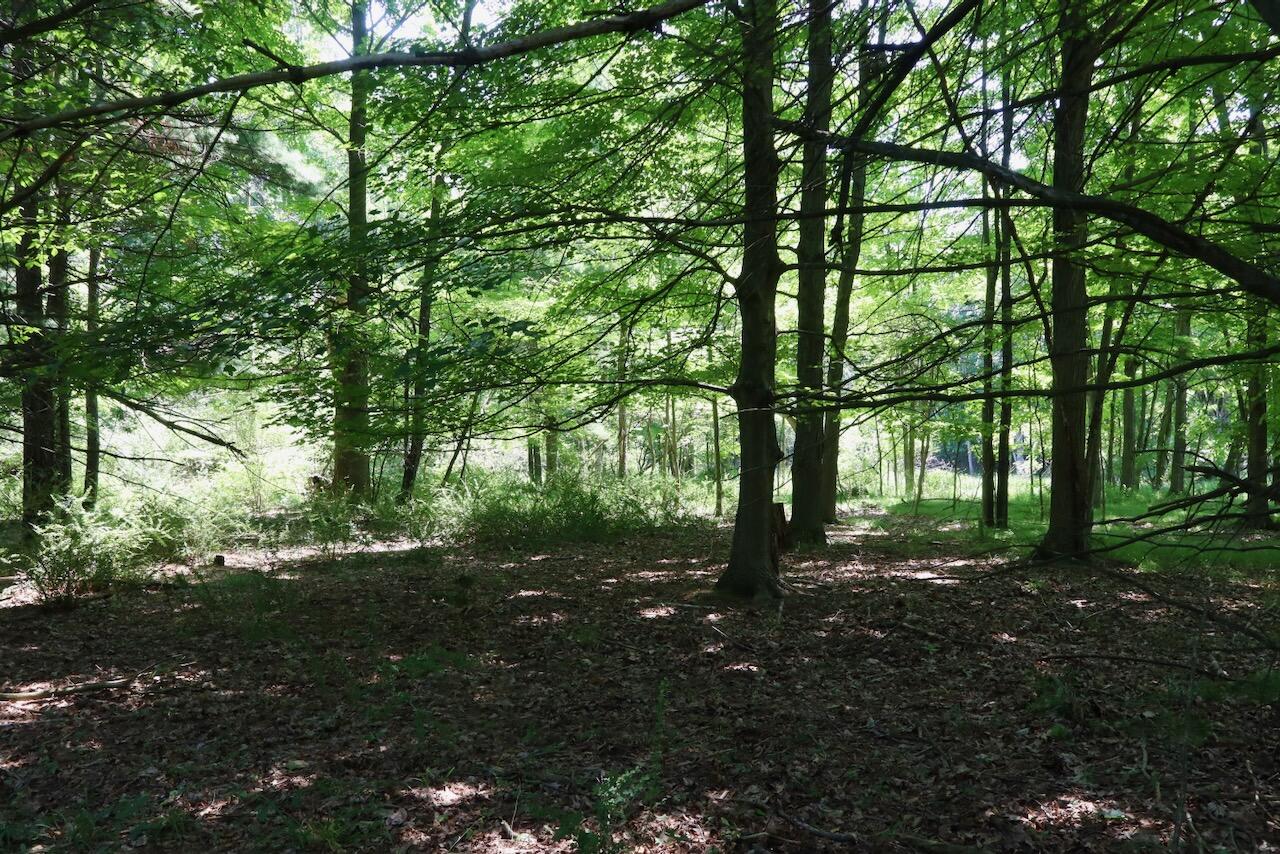 4718 Church Road Six Lakes, MI 48886 - Photo 32 of 76 031