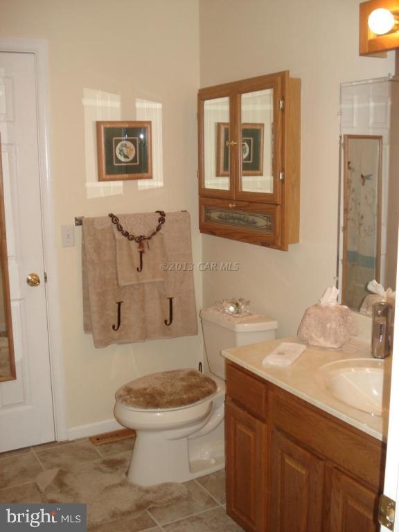 8037 Downs Road Newark, MD 21841 - Photo 20 of 23 a bathroom with a sink a toilet and shower