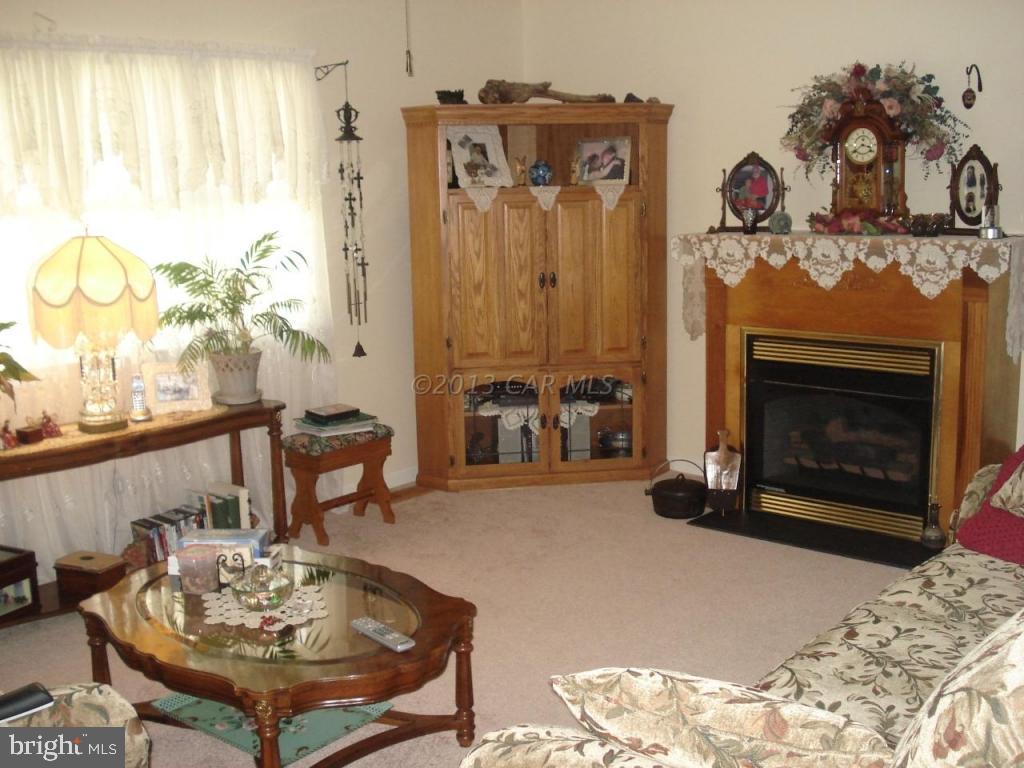 8037 Downs Road Newark, MD 21841 - Photo 7 of 23 a living room with furniture and a fireplace