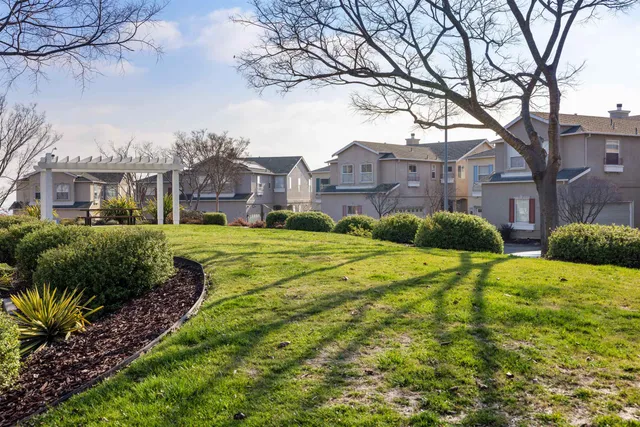 a view of a house with a big yard plants and large trees