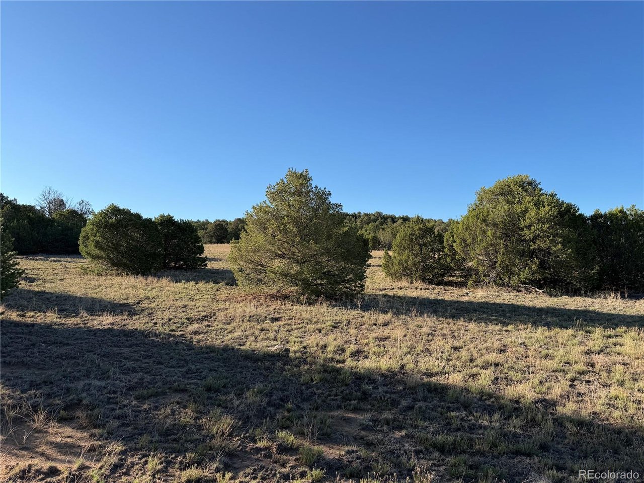 141 River Ridge Trail Walsenburg, CO 81089 - Photo 21 of 28 Gallery Image 21