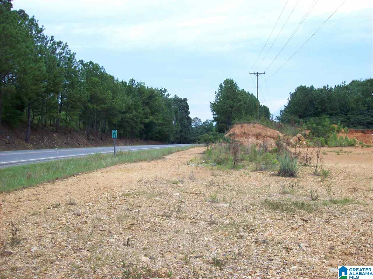 8031 Stemley Bridge Road, Unit ACREAGE Talladega, AL 35160 - Photo 4 of 8 Gallery Image 4