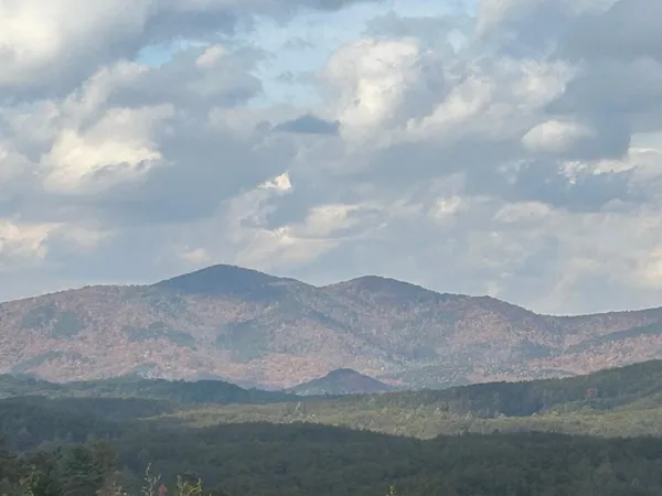 a view of a city and mountains