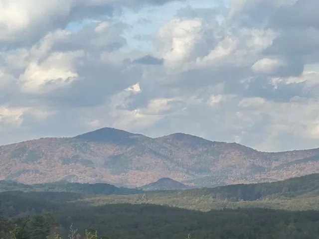 a view of a city and mountains
