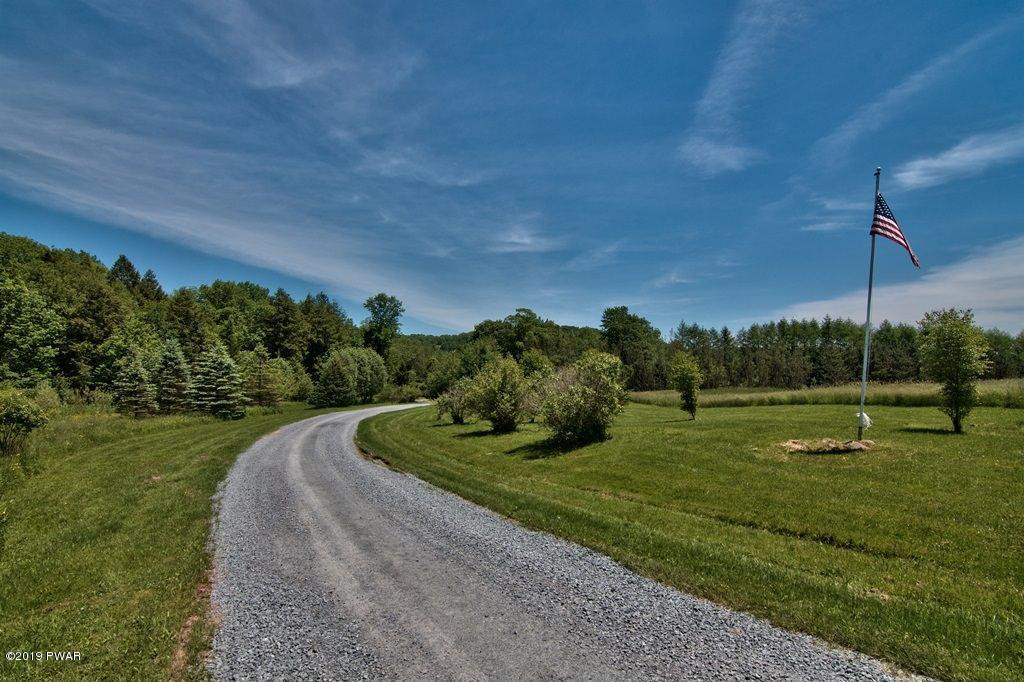 474 Rutledgedale Road Equinunk, PA 18417 - Photo 6 of 55 Private Lane