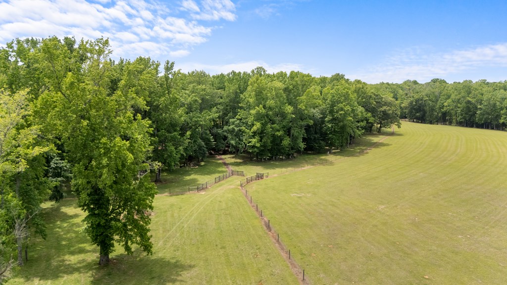186 Beech Springs Road Pine Mountain, GA 31822 - Photo 17 of 59
