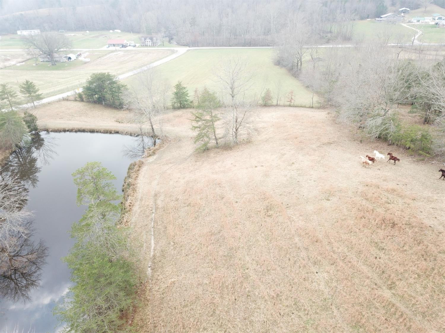 172 East Fork Road Means, KY 40346 - Photo 40 of 68 Photo 40