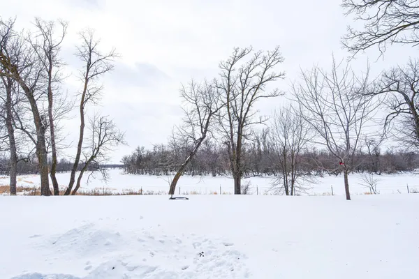 $295,000 | 16299 160th Street Northeast, Thief River Falls, MN 56701