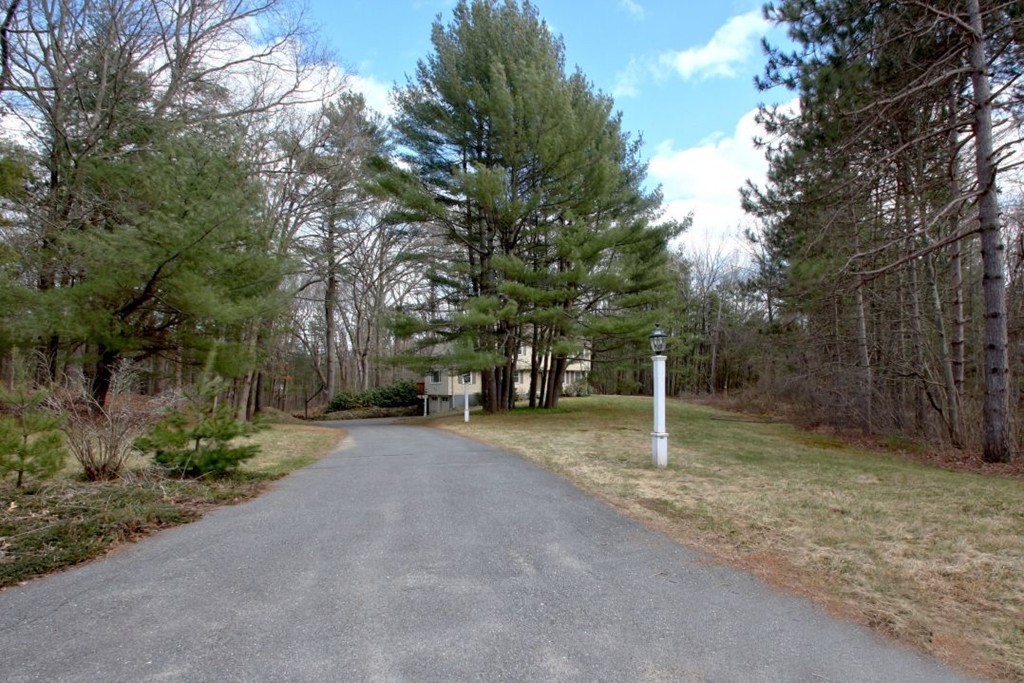 a view of a field with trees in front of it