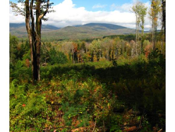 Keifer Road Shrewsbury, VT 05738 - Photo 1 of 1
