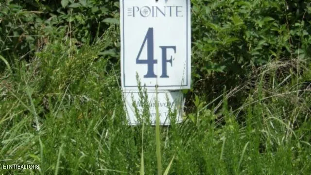 $99,000 | Lot 4 Trout Lane, Hilham, TN 38568