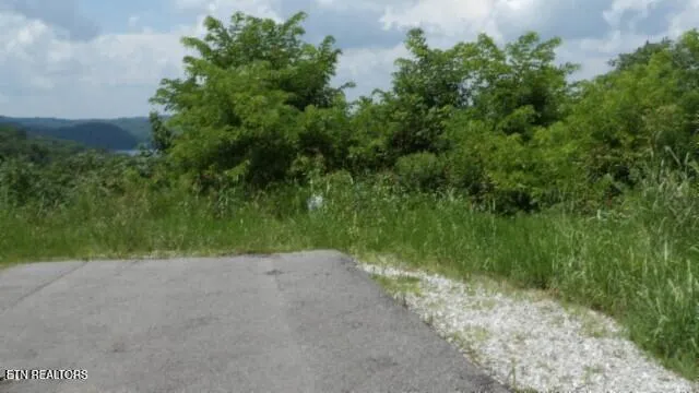 $99,000 | Lot 4 Trout Lane, Hilham, TN 38568