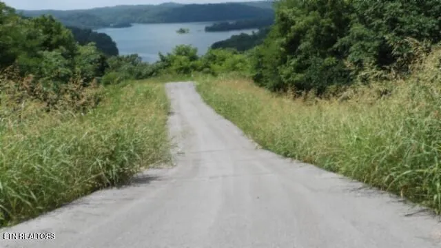 $99,000 | Lot 4 Trout Lane, Hilham, TN 38568