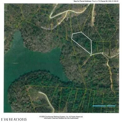 $99,000 | Lot 4 Trout Lane, Hilham, TN 38568