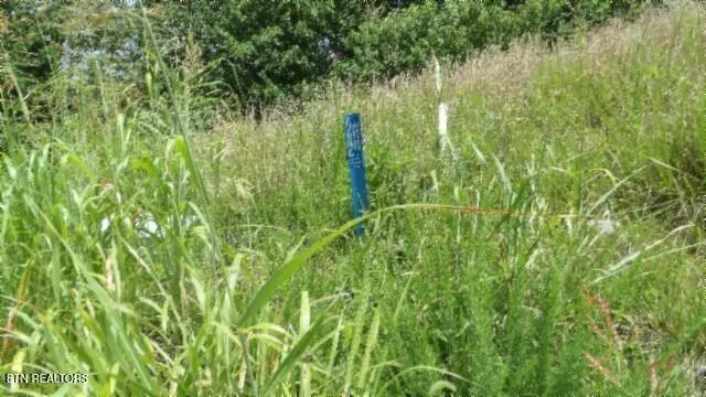 $99,000 | Lot 4 Trout Lane, Hilham, TN 38568