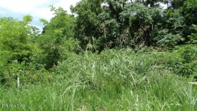 $99,000 | Lot 4 Trout Lane, Hilham, TN 38568