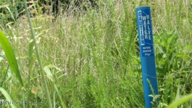 $99,000 | Lot 4 Trout Lane, Hilham, TN 38568