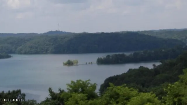 $99,000 | Lot 4 Trout Lane, Hilham, TN 38568