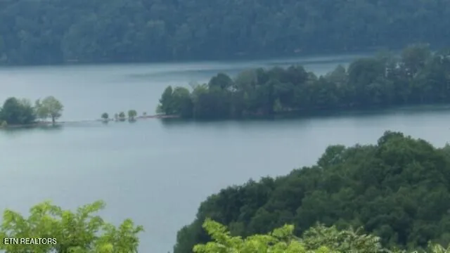 $99,000 | Lot 4 Trout Lane, Hilham, TN 38568