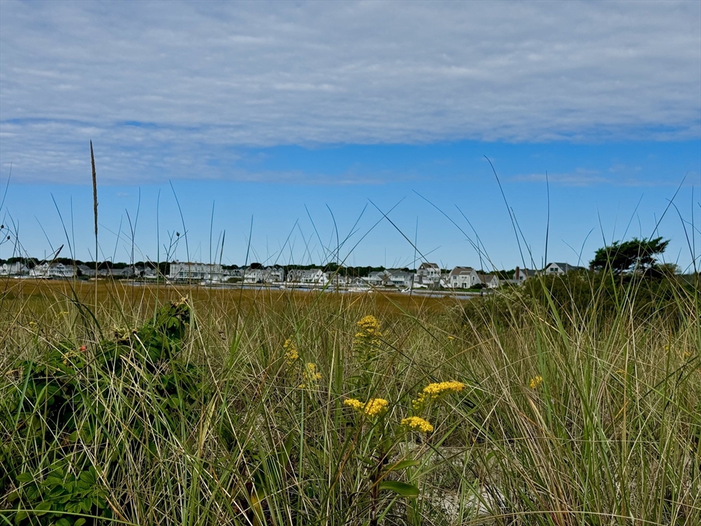 24 Shore Road West Dennis, MA 02670 - Photo 25 of 28 a view of a swimming pool and green space