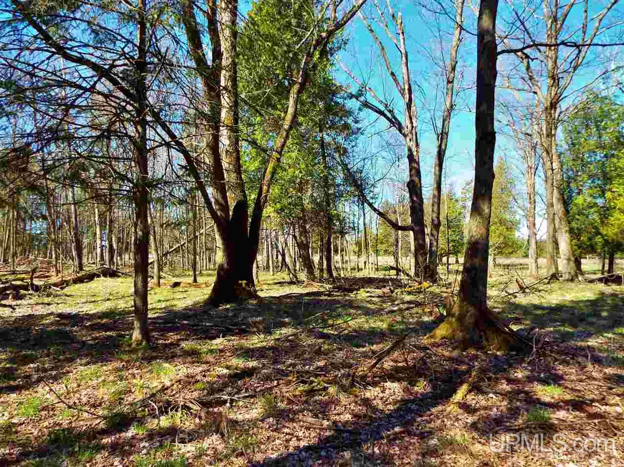 23 North (nn) Rd Garden Garden, MI 49835 - Photo 11 of 12
