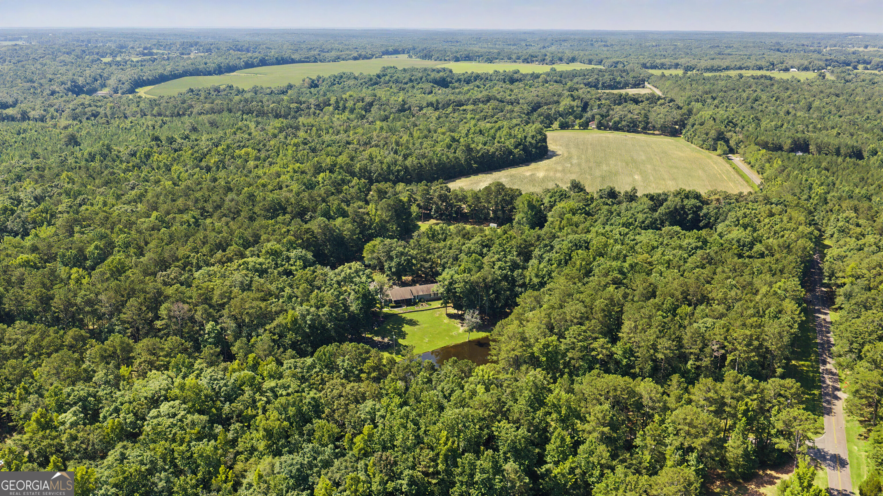 121 Peacock Road Barnesville, GA 30204 - Photo 19 of 61