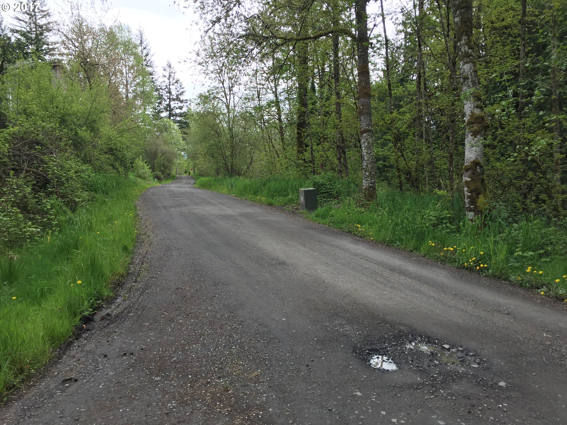 75088 Lewis Road Rainier, OR 97048 - Photo 16 of 16