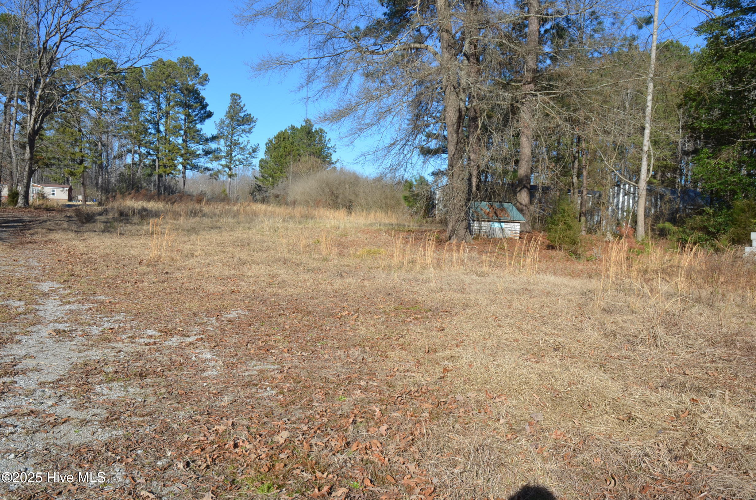 8097 Bray Road Bailey, NC 27807 - Photo 5 of 9 809 Bray Rd 6.73 Acres