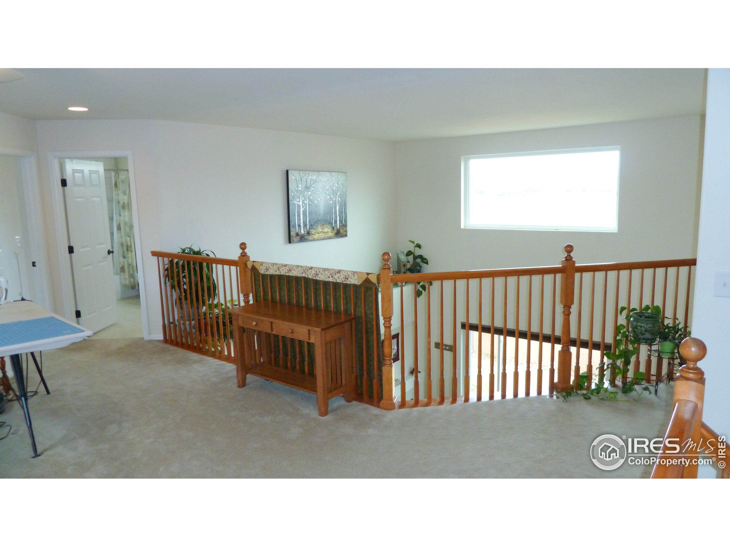 8121 Raspberry Drive Frederick, CO 80504 - Photo 19 of 38 a black and white photo of a living room