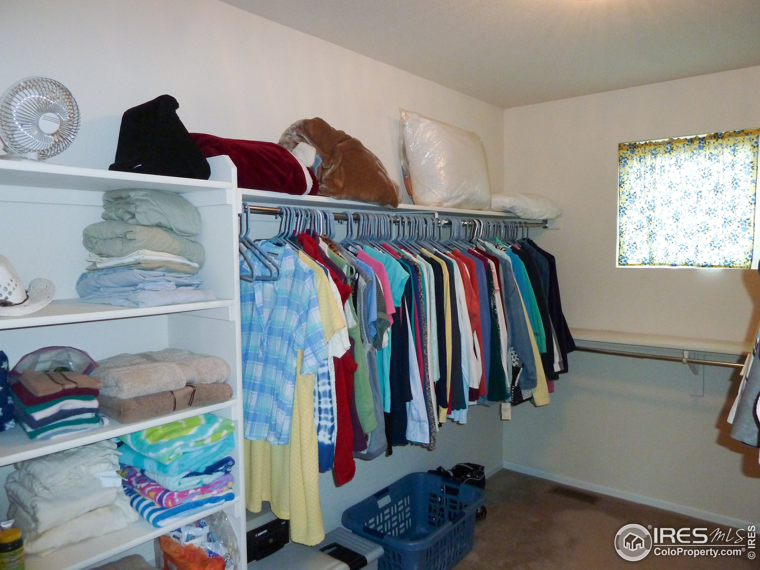 8121 Raspberry Drive Frederick, CO 80504 - Photo 23 of 38 a view of walk in closet with clothes and shoes