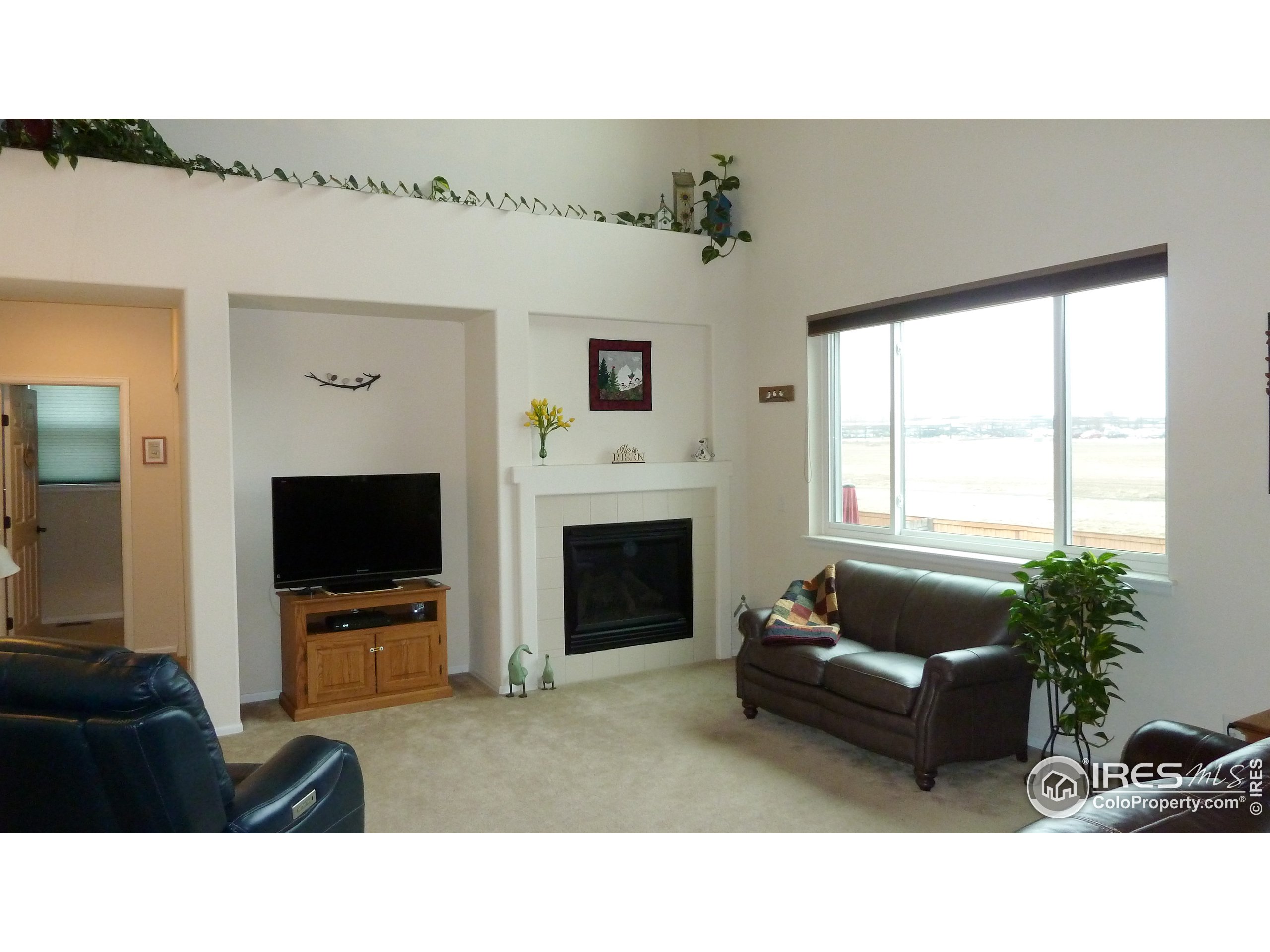 8121 Raspberry Drive Frederick, CO 80504 - Photo 9 of 38 a living room with furniture and a fireplace