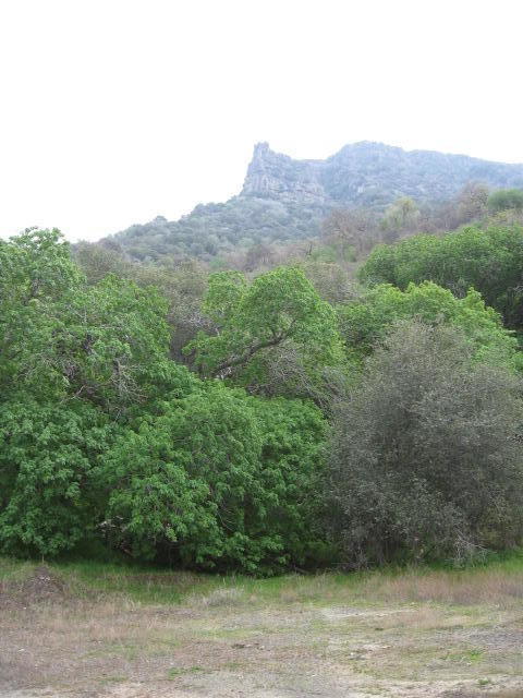 0 Oak Grove Drive Three Rivers, CA 93271 - Photo 13 of 13 IMG_3565