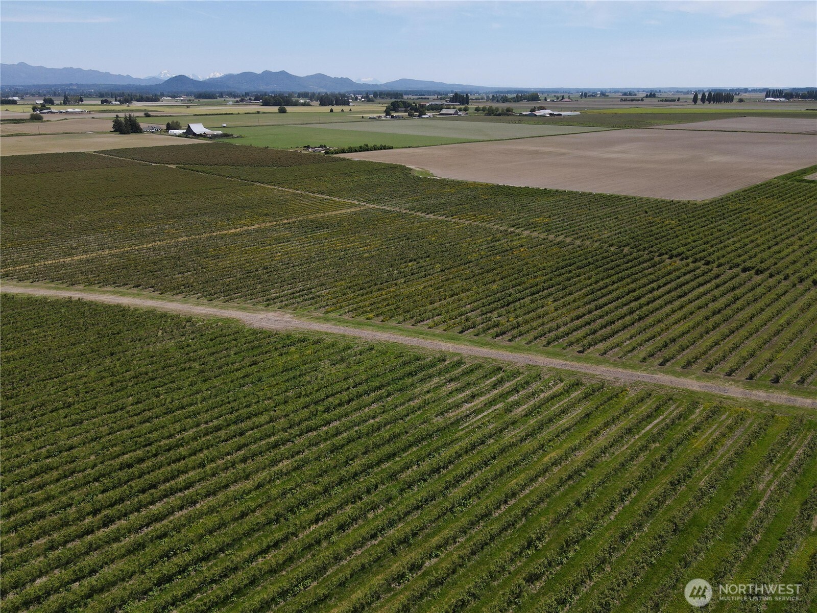 0 Young Road Mount Vernon, WA 98273 - Photo 2 of 9