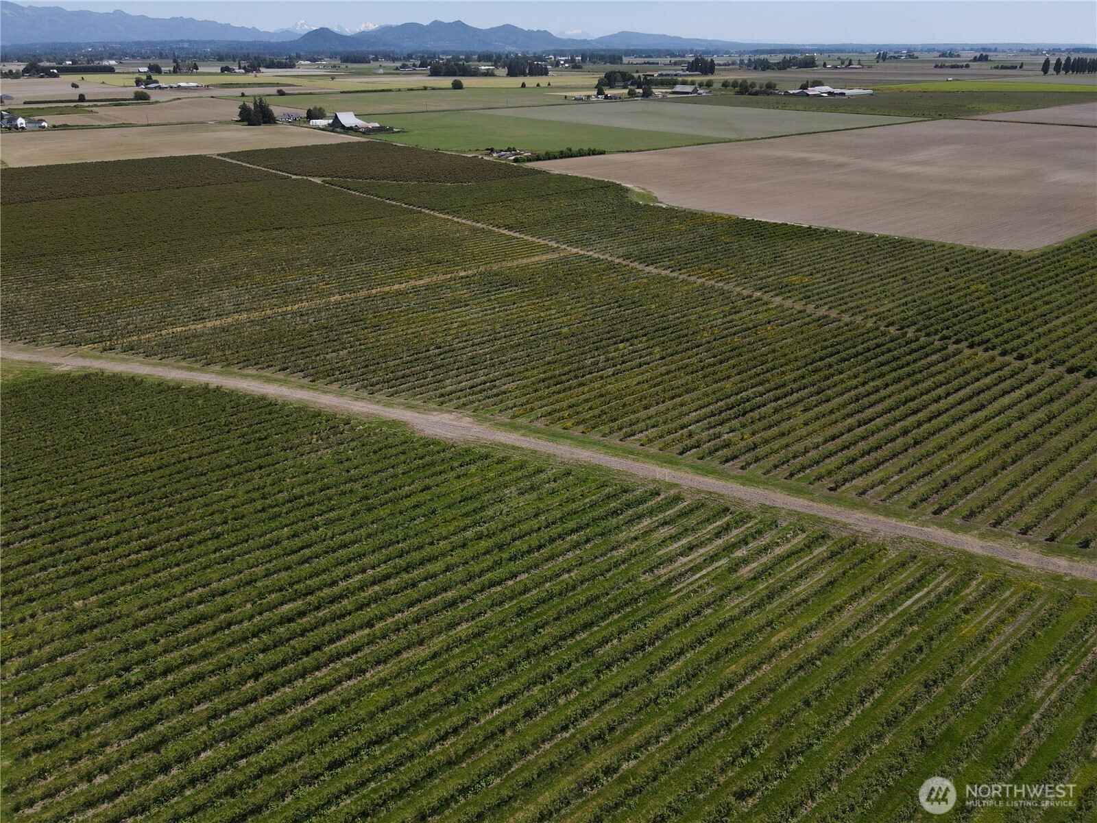 0 Young Road Mount Vernon, WA 98273 - Photo 3 of 9