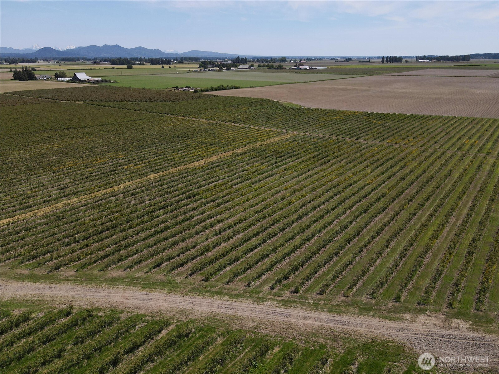 0 Young Road Mount Vernon, WA 98273 - Photo 4 of 9